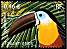 Oiseaux d outre-mer : Le toucan ariel