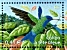 Oiseaux d outre-mer : Le colibri à tête bleue