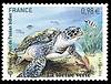 Émission France-Pays de l Océan Indien : Tortue Verte