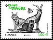 FAUNE EN DANGER EUROPA