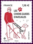 Les chiens guides d aveugles