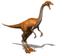 dinosaure : raptor 