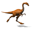 dinosaure : raptor courant