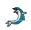 dauphin dans l eau