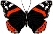 papillon rouge qui bat des ailes
