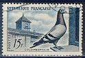 Pigeongrammes